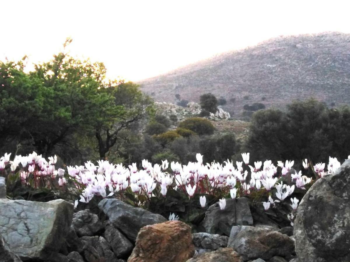 Tilos Island House Megalon Chorion  Екстер'єр фото