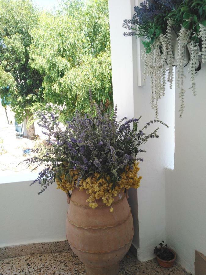 Tilos Island House Megalon Chorion  Екстер'єр фото
